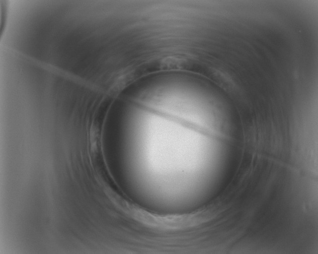 X0000082170038200701270011