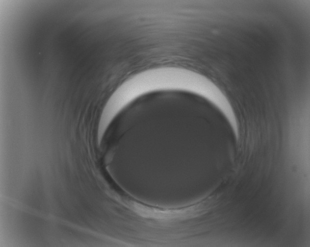 X0000082170039200701270011