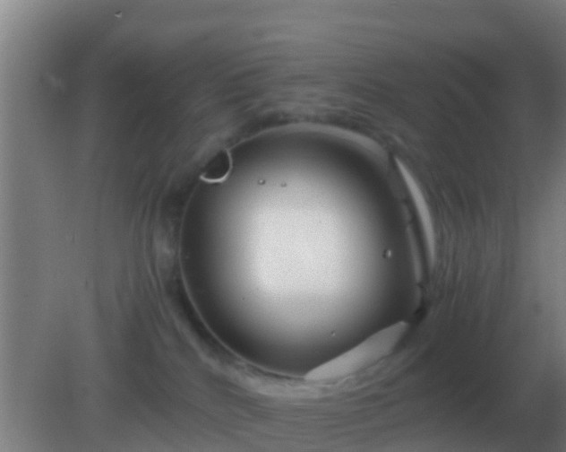 X0000082170040200701270011