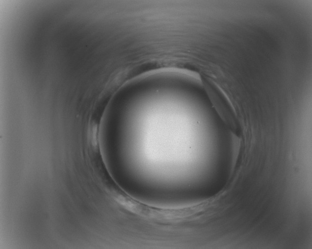 X0000082170041200701270011