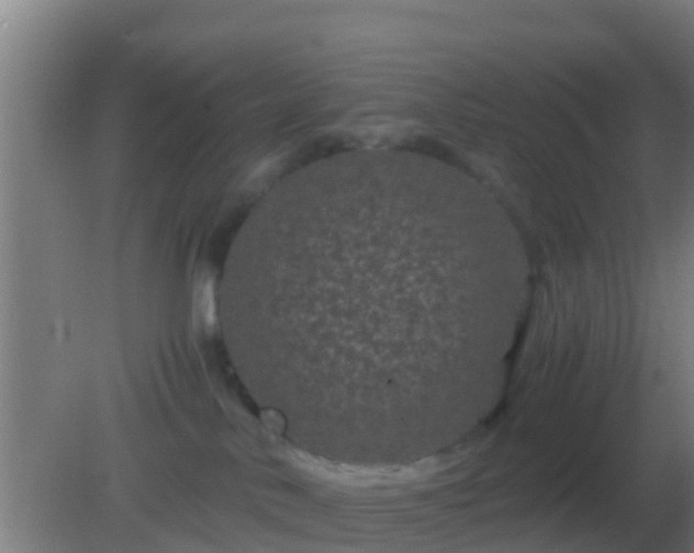 X0000082170042200701270011