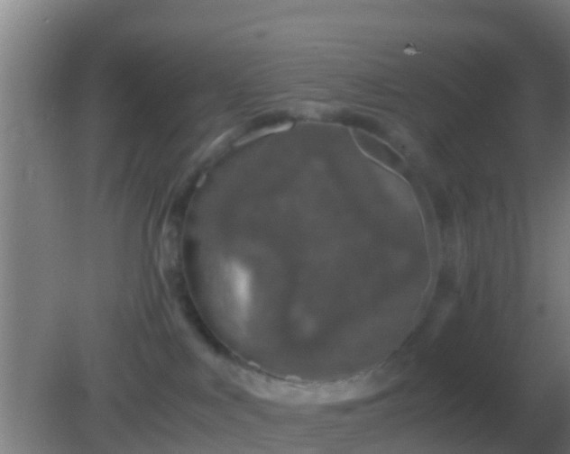 X0000082170043200701270011