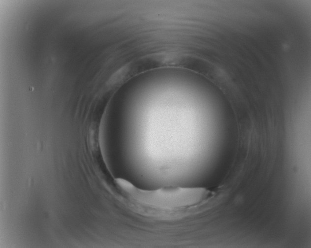 X0000082170044200701270011