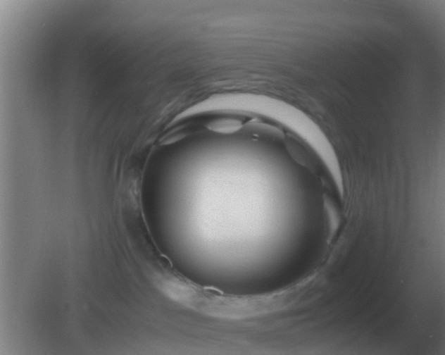 X0000082170045200701270011