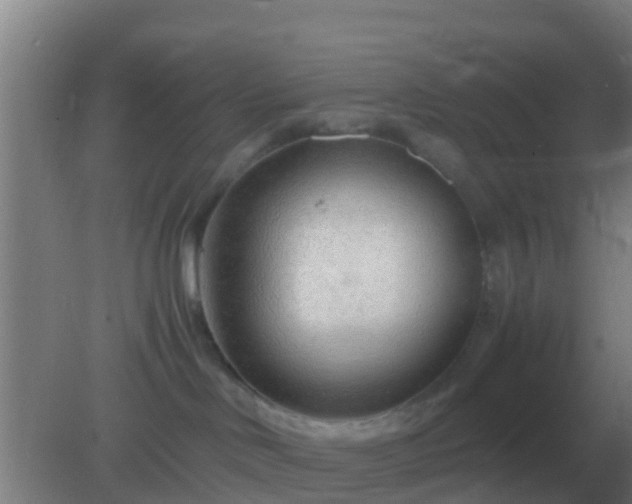 X0000082170046200701270011