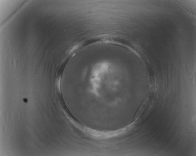 X0000082170047200701270011