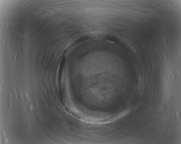 X0000082170048200701270011