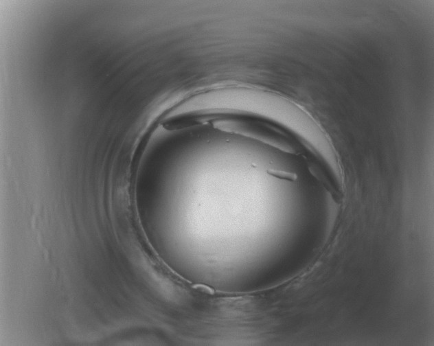 X0000082170050200701270010