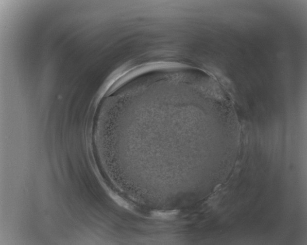 X0000082170051200701270010