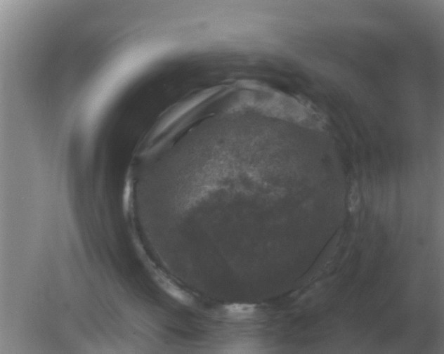 X0000082170052200701270010