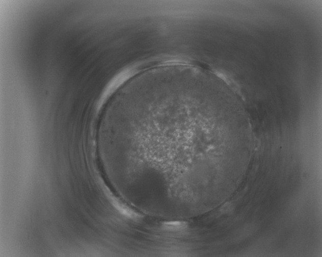 X0000082170053200701270010