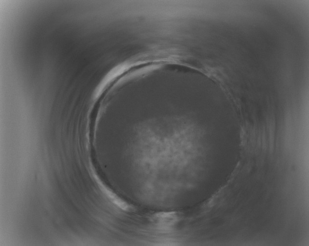 X0000082170054200701270010