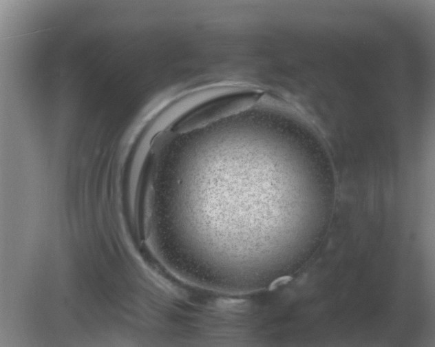 X0000082170055200701270010