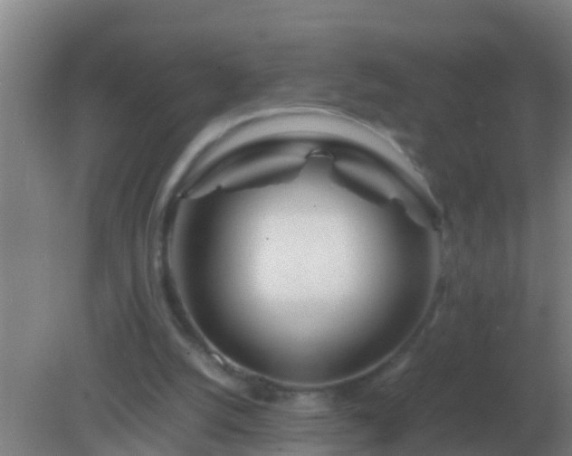 X0000082170056200701270010