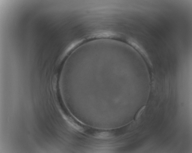 X0000082170058200701270010