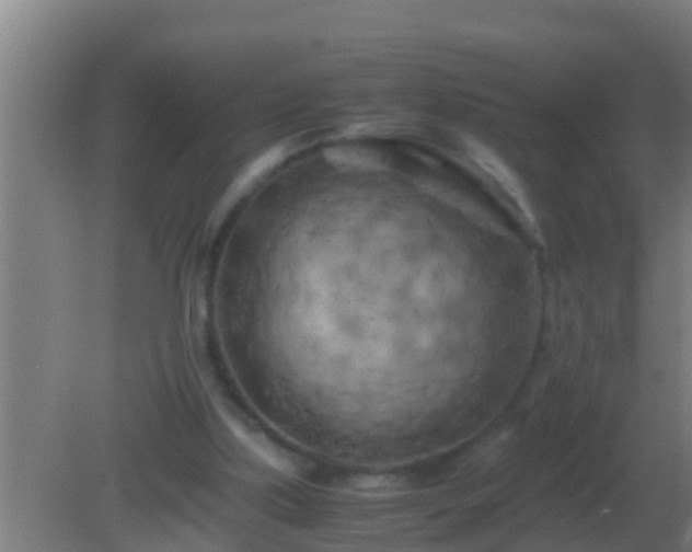 X0000082170059200701270010