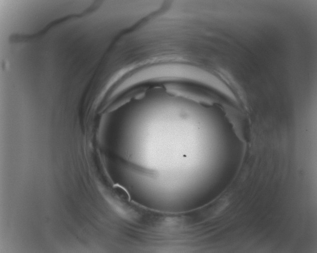 X0000082170060200701270011