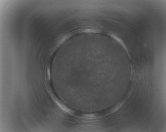 X0000082170061200701270011