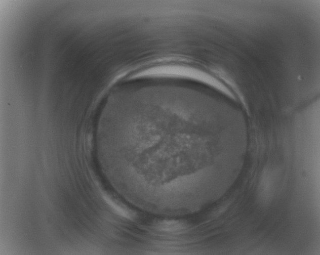 X0000082170063200701270011