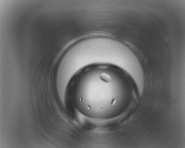 X0000082170064200701270011