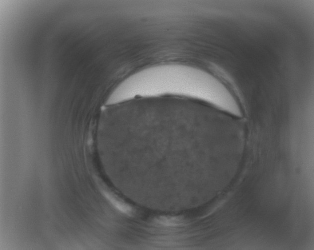 X0000082170065200701270011