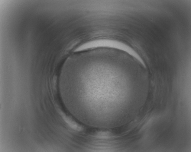 X0000082170066200701270011