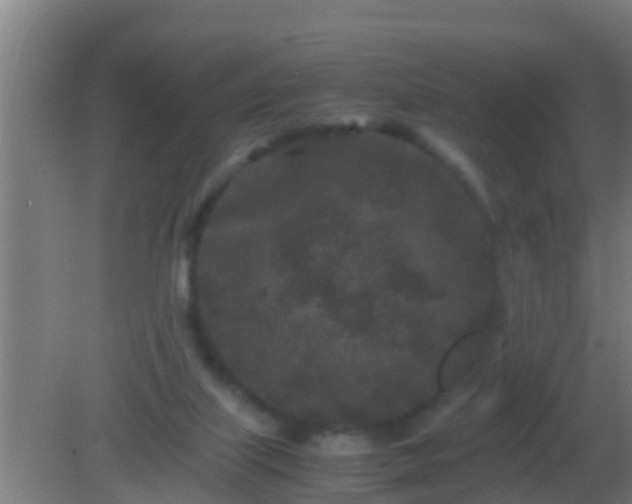 X0000082170067200701270011