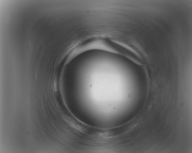 X0000082170068200701270011