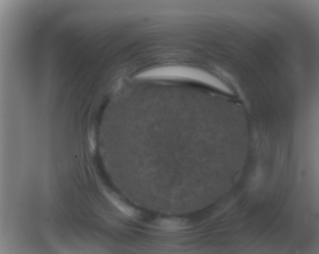 X0000082170069200701270011