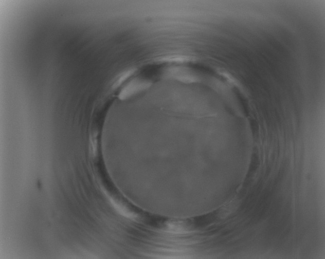 X0000082170070200701270011