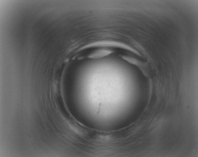 X0000082170071200701270011