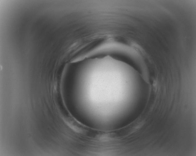 X0000082170072200701270011