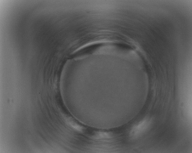 X0000082170073200701270011