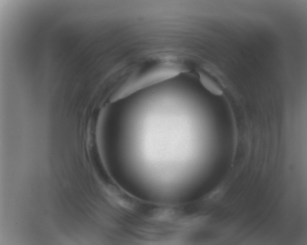 X0000082170074200701270011