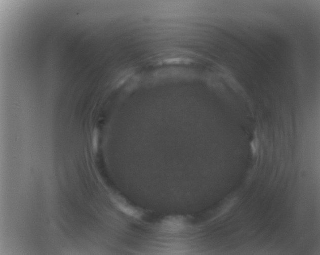 X0000082170076200701270011