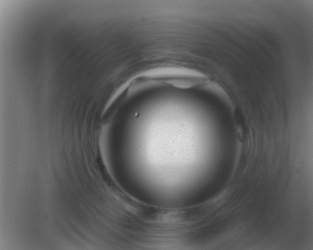 X0000082170078200701270011