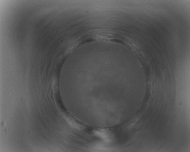 X0000082170079200701270011