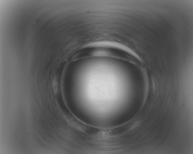 X0000082170080200701270011