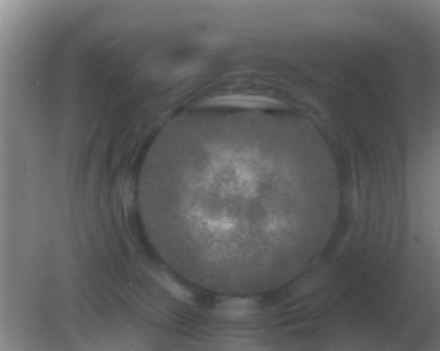 X0000082170081200701270011