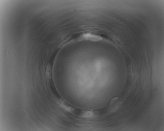 X0000082170083200701270011