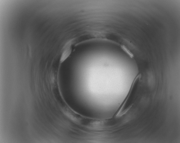 X0000082170084200701270011