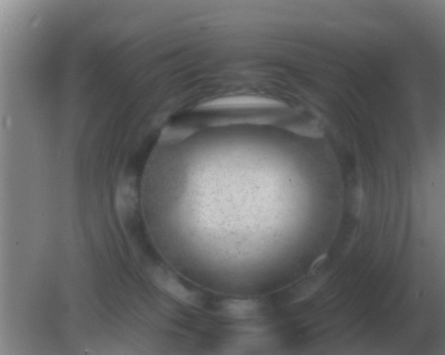 X0000082170085200701270011