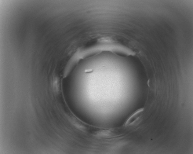 X0000082170086200701270011