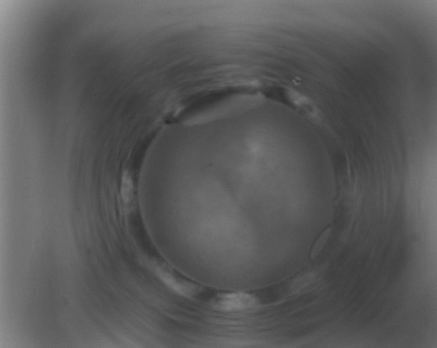 X0000082170087200701270011