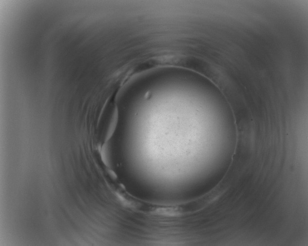 X0000082170089200701270011