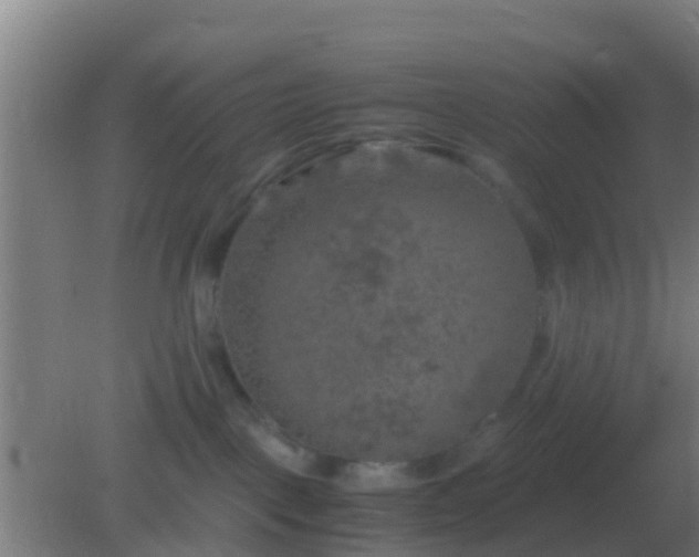 X0000082170093200701270011