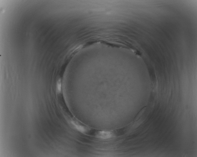 X0000082170095200701270011