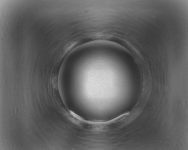 X0000082170096200701270011