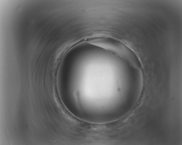 X0000082170097200701270010