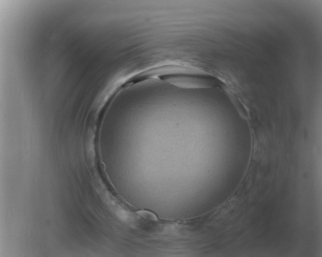 X0000082170098200701270010